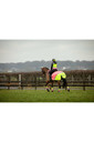 2022 Equisafety Charlotte Dujardin Hi Vis Multi Coloured Horse Sheet CD-MCQWS - Pink / Yellow
